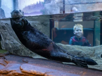 National Sea Life Centre Entrance Ticket