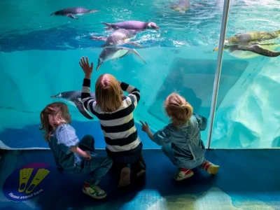 National Sea Life Centre Entrance Ticket