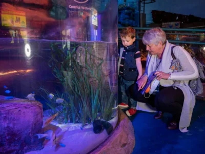 National Sea Life Centre Entrance Ticket