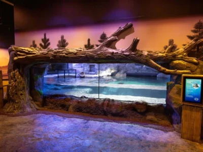 National Sea Life Centre Entrance Ticket