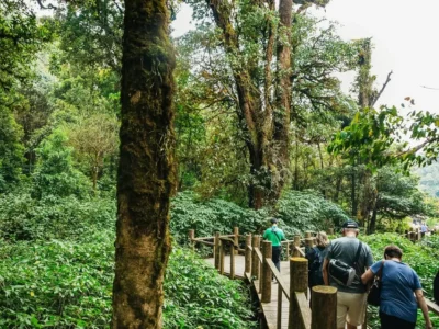 Doi Inthanon National Park Eco-Friendly Tour